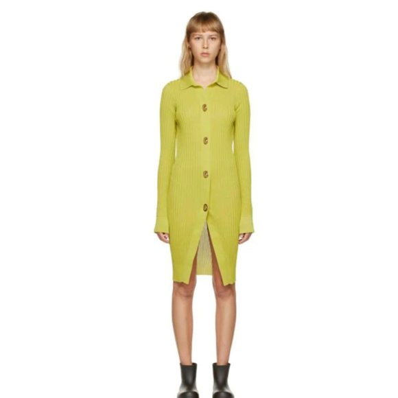 Bottega Veneta Dresses & Skirts - BOTTEGA VENETA GREEN SILK RIB SHIRT DRESS